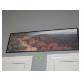 GRAND CANYON? FRAMED PRINT 36 x 12