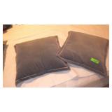 2 THROW PILLOWS
