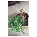 WICKER BASKETS, GREENERY, SPLINT BASKET