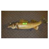 VTG WALLEYE MOUNT ~25" LONG