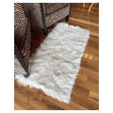 2x4 area rug