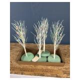 Easter flowering trees