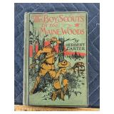The Boy Scouts in the Maine woods book