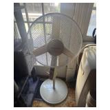 Fan