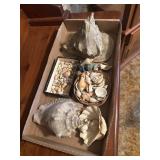 Shells