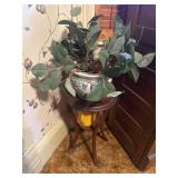 Plant stand with contents