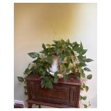 Live plant