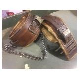 HUMANE RESTRAINT MADISON WISCONSIN