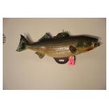MOUNTED ROCK FISH