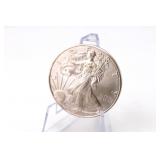 2010 American Eagle Silver Dollar Coin