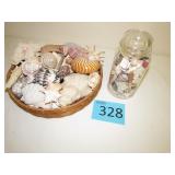 Assorted Shells