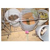 Huge Lot of Nails and Screws