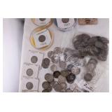 Buffalo Nickel Collection