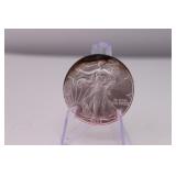 2005 American Eagle Silver Dollar Coin