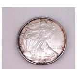 2007 Silver Eagle One Dollar Coin