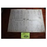 1940 Fleischer Studios Lois Lane Model Sheet