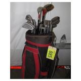 19 Golf Clubs with Bag