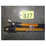 Flipping Fish Sticks