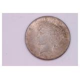 1925 Peace Silver Dollar