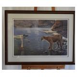 Canyon Creek Cougar - John Seerey-Lester - Print