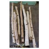 Natural Birch Poles for Crafts, Rustic Dï¿½cor