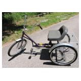 Trailmate EZ Adult Tricycle with Rear Cargo Basket