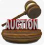 Spring Auction