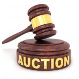 Downsizing auction - located outside Blenheim