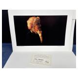 Frank Murrah Signed Print 273/450