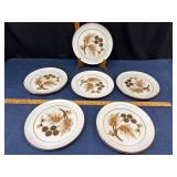 Six Denby Dinner Plates