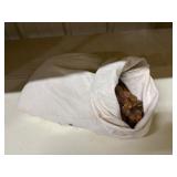 Bag of Assorted Pennies