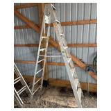 Reynolds Aluminum Step Ladder