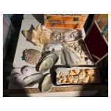 Seashells and Sea Urchins