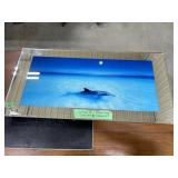 Vintage Dolphin Mirror - Lights Up to Create