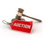 June Online Auction