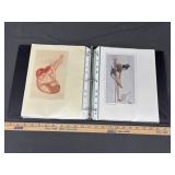 Binder of Pin-Up Model Prints ï¿½ 122 Pages