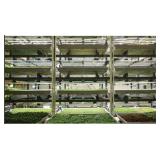 Indoor LED Grow Lighting System