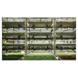 Indoor LED Grow Lighting System