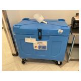 ThermoSafe HR11P3-LC