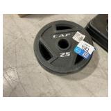 25 Lb Weights