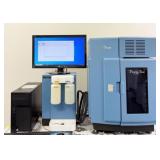 ProteinSimple Peggy Sue Simple Western Blot with A