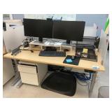 Electric Sit/Stand Desk with Privacy Glass, (1) De
