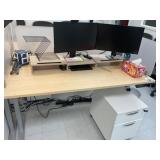 Electric Sit/Stand Desk with Privacy Glass, (1) De