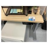Electric Sit/Stand Desk with Privacy Glass, (1) De