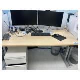 Electric Sit/Stand Desk with Privacy Glass, (1) De