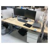 Electric Sit/Stand Desk with Privacy Glass, (1) De