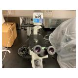 Olympus CKX31 Microscope with see decription