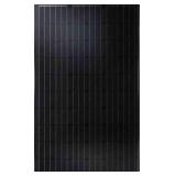YL 260W Monocrystalline Module Panels
