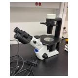 Olympus CKX53 Inverted Phase Contrast Microscope (