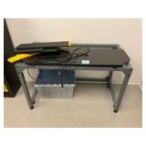 Thorlabs Table w/ Optical Stands